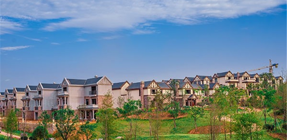 「旅游康养生活」项目